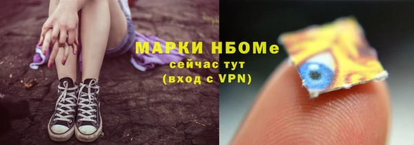 индика Алзамай