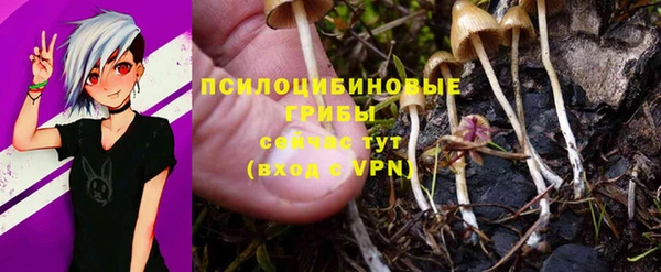 круглые Алексин