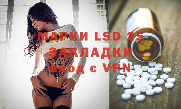 индика Алзамай